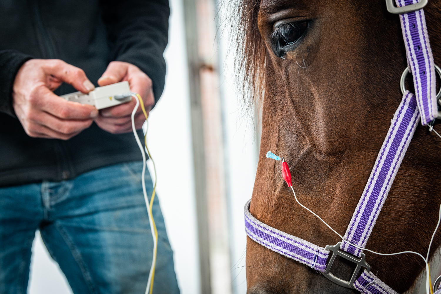 PENS-therapie - De Zuideres